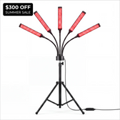 Optimal Red Light Therapy Lantern