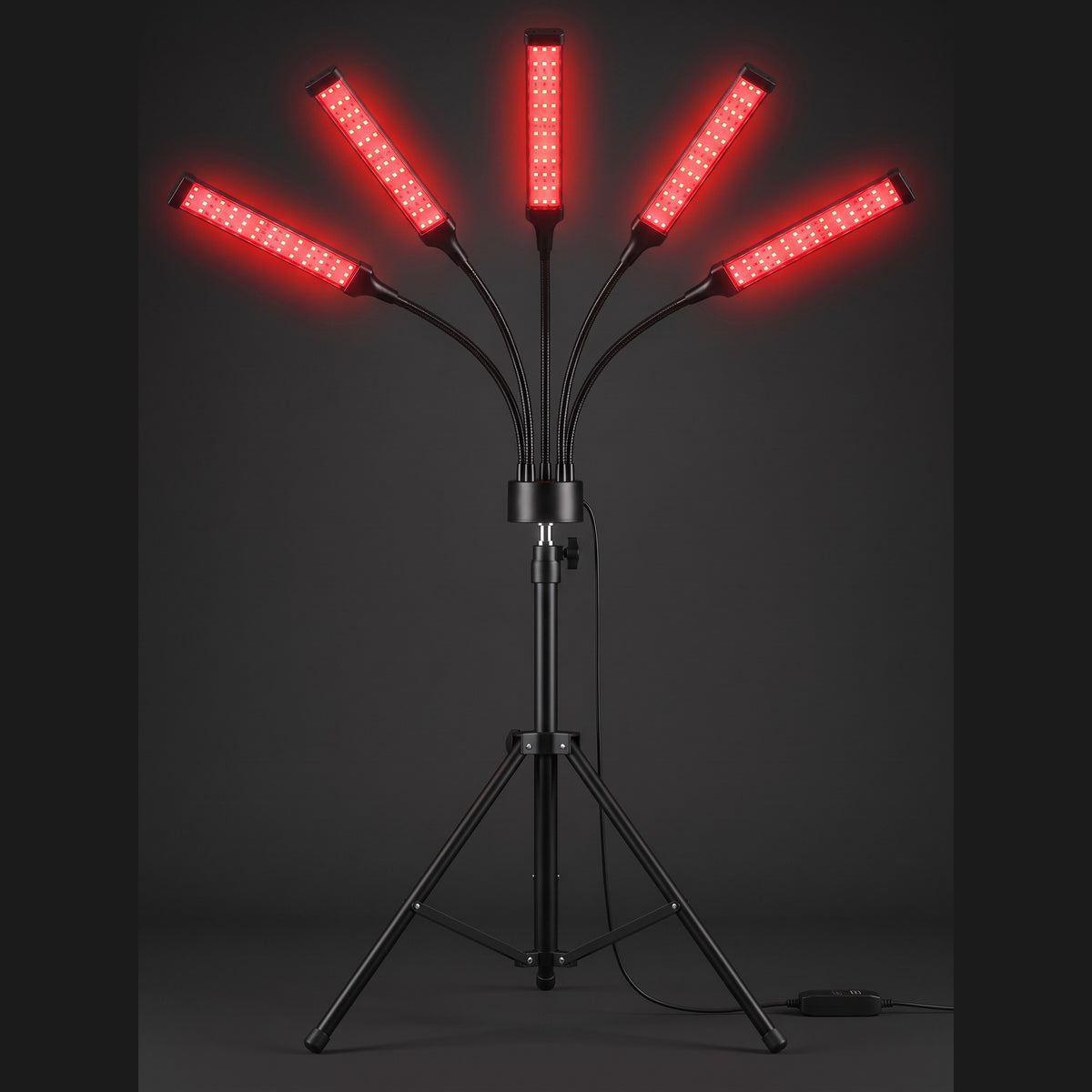 Red Light Lantern